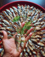 কিশোরগঞ্জের চ্যাপা পুটি - Image 2
