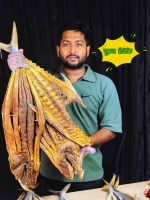 সুরমা শুঁটকি - Image 3