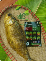 আস্ত নূনা ইলিস - Image 3