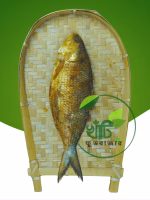 আস্ত নূনা ইলিস - Image 4
