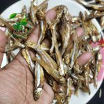 প্রিমিয়াম মলা শুটকি - Image 2