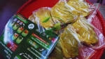 চাক নোনা ইলিস - Image 5