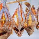 কোরাল শুঁটকি - Image 2
