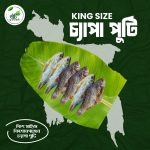 স্কয়ার প্যাকেজ প্রো - Image 3