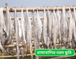 রাঙ্গাবালি নরম  ছুরি শুঁটকি - Image 3
