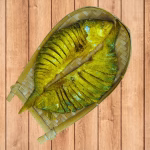 আস্ত আনা নোনা ইলিস - Image 2