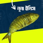 আস্ত আনা নোনা ইলিস - Image 3