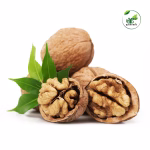 আখরোট (Walnut)